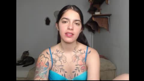 Snapshot of stella_art chatting on February 13, 2026, 2:40 am Stella online show from February 13, 2026, 2:40 am