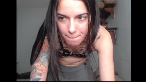 Snapshot of stella_art chatting on February 17, 2026, 2:08 am Stella online show from February 17, 2026, 2:08 am