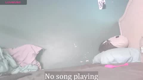 Stella Clitella online show from November 21, 2025, 1:32 pm