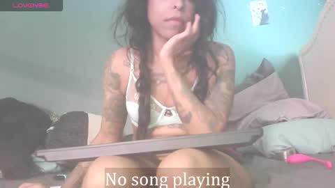 Stella Clitella online show from November 22, 2025, 7:02 pm