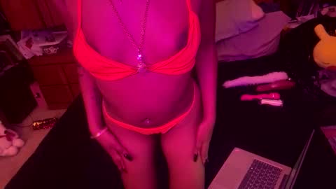 stellakobra online show from November 19, 2025, 4:12 am