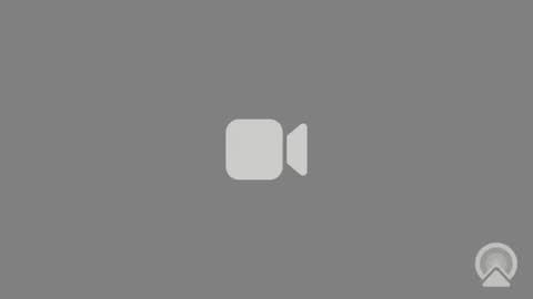 stells online show from November 13, 2025, 4:33 am