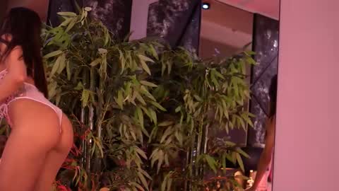 Snapshot of stephierouse chatting on January 13, 2026, 8:08 am Steph online show from January 13, 2026, 8:08 am