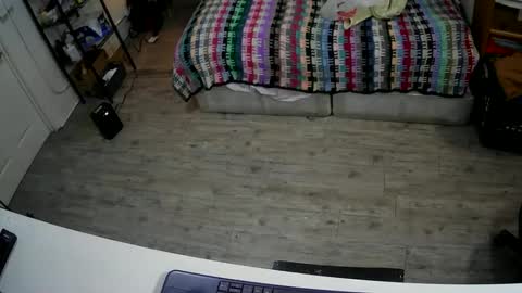 Snapshot of sterileball chatting on December 7, 2024, 3:47 am sterileball online show from December 7, 2024, 3:47 am