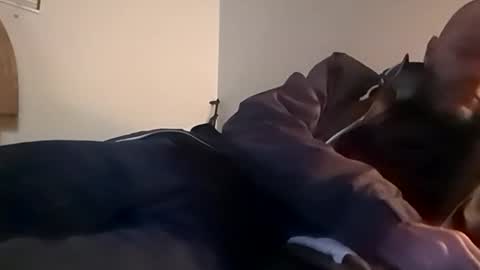 Snapshot of sterng123 chatting on November 12, 2025, 2:45 am sterng123 online show from November 12, 2025, 2:45 am