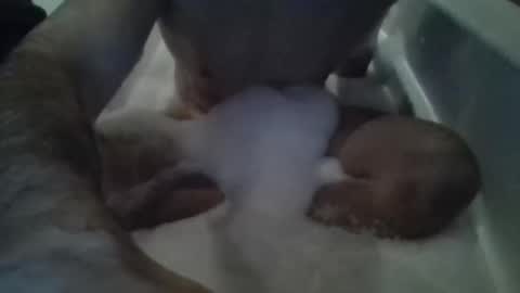 Tiny D online show from November 15, 2025, 12:52 am