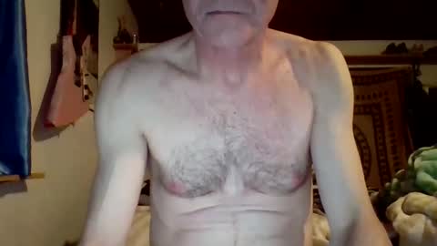 Snapshot of steviehard7 chatting on March 8, 2025, 4:56 am steviehard7 online show from March 8, 2025, 4:56 am