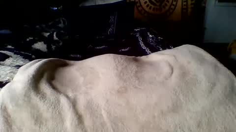 Snapshot of steviehard7 chatting on March 12, 2025, 4:02 pm steviehard7 online show from March 12, 2025, 4:02 pm