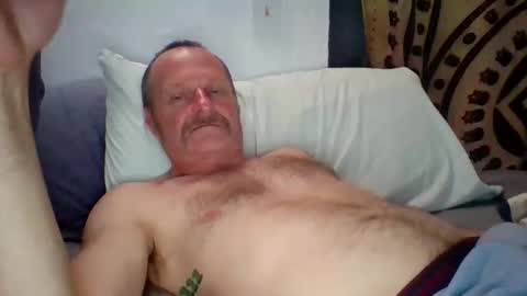 steviehard7 online show from November 17, 2025, 6:41 am