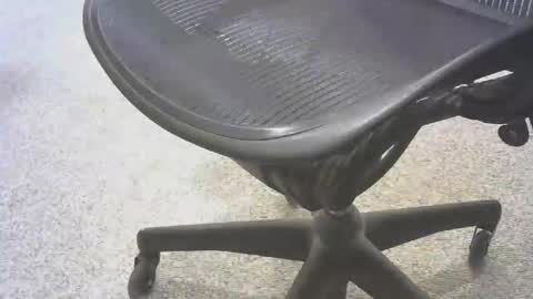 Snapshot of stlhammer68 chatting on November 6, 2025, 8:54 pm stl hammer online show from November 6, 2025, 8:54 pm