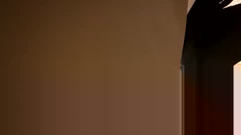 Snapshot of stokely571996 chatting on December 5, 2024, 8:55 pm Oval2022 online show from December 5, 2024, 8:55 pm