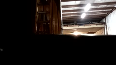 Snapshot of stokely571996 chatting on December 16, 2024, 12:48 am Oval2022 online show from December 16, 2024, 12:48 am