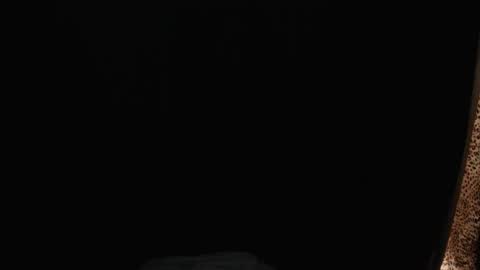 stonenipple online show from November 26, 2025, 6:47 am