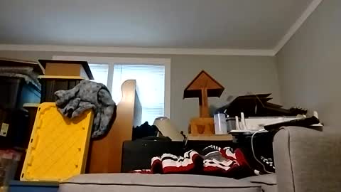 Snapshot of str33twyz3 chatting on October 25, 2025, 12:34 pm Streetwyze online show from October 25, 2025, 12:34 pm