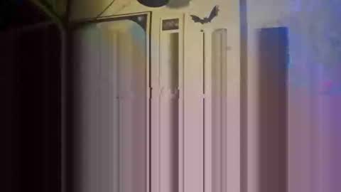 Str8 online show from May 26, 2026, 1:23 am