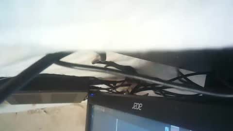 Snapshot of strangerdanger_2 chatting on January 9, 2026, 11:35 am strangerdanger_2 online show from January 9, 2026, 11:35 am