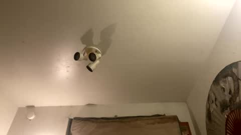 Snapshot of strangestag chatting on September 27, 2025, 7:46 am Stag online show from September 27, 2025, 7:46 am