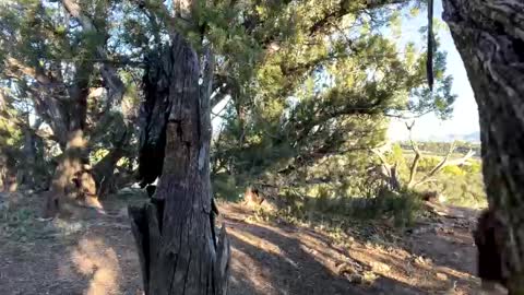 Snapshot of strangestag chatting on October 6, 2025, 11:46 pm Stag online show from October 6, 2025, 11:46 pm