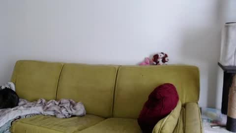 Strawberrylotsacake online show from May 13, 2026, 5:32 pm