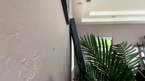 Ruby Moon online show from December 11, 2024, 5:59 pm