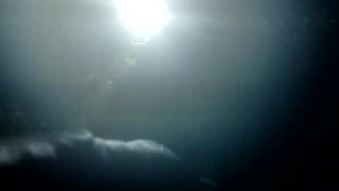 Snapshot of stroll0695 chatting on January 26, 2025, 1:36 pm Bigdickdugan online show from January 26, 2025, 1:36 pm