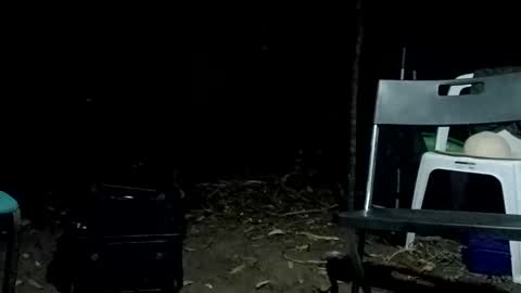 Snapshot of stroll0695 chatting on February 12, 2025, 1:06 pm Bigdickdugan online show from February 12, 2025, 1:06 pm