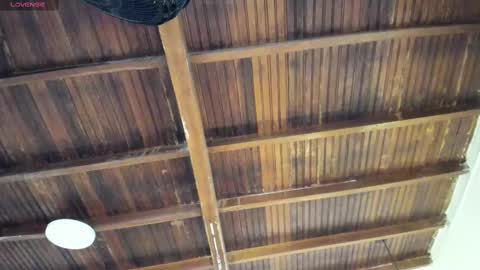 Alexa   online show from November 19, 2025, 10:48 am