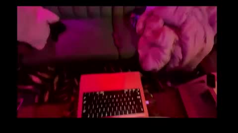 Snapshot of studio4three chatting on February 26, 2025, 11:20 am studio4three online show from February 26, 2025, 11:20 am