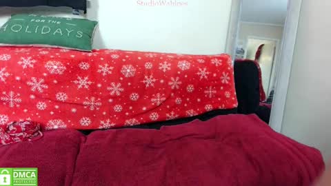 Snapshot of studiowahines chatting on December 26, 2024, 3:16 am StudioWahines online show from December 26, 2024, 3:16 am