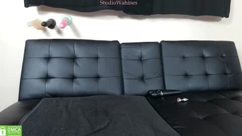 Snapshot of studiowahines chatting on March 12, 2025, 3:46 am StudioWahines online show from March 12, 2025, 3:46 am