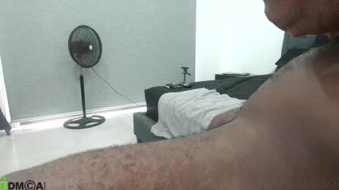 Snapshot of studiowahines chatting on November 15, 2025, 2:46 pm StudioWahines online show from November 15, 2025, 2:46 pm