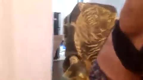 Cuteipie online show from December 29, 2024, 1:34 am