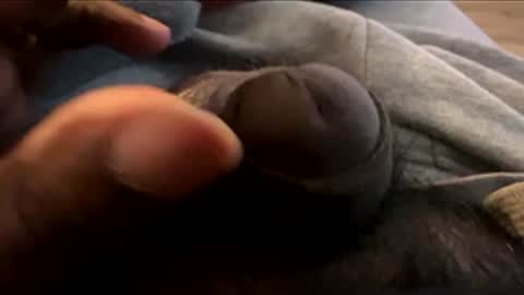 Snapshot of suggnight chatting on January 7, 2026, 8:55 pm Let me be your knight that saves you online show from January 7, 2026, 8:55 pm