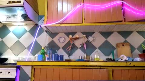 Snapshot of super_jony chatting on November 13, 2025, 3:55 pm super jony and Marta GMT 1300-1800 every day online show from November 13, 2025, 3:55 pm