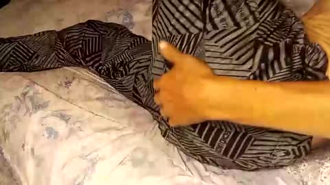 superdavedetailzz2025 online show from September 19, 2025, 6:37 am