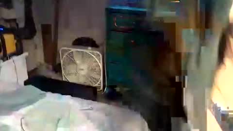 superdavedetailzz2025 online show from October 28, 2025, 11:03 am