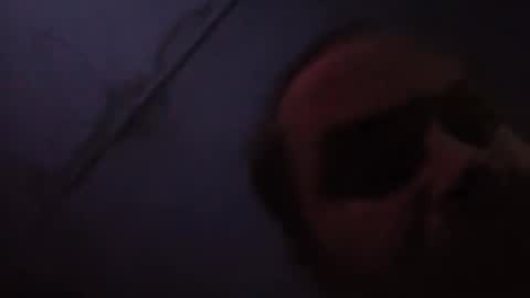 Snapshot of supremesloth chatting on February 20, 2026, 11:43 am sloth online show from February 20, 2026, 11:43 am