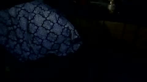 Snapshot of supremesloth chatting on February 27, 2026, 9:31 am sloth online show from February 27, 2026, 9:31 am