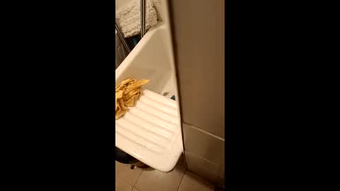 suso9092 online show from March 23, 2026, 11:42 pm