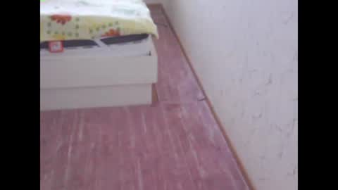 sv27 online show from February 13, 2025, 11:17 am