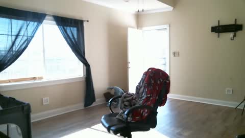 Snapshot of swals chatting on February 2, 2025, 4:11 pm Swals online show from February 2, 2025, 4:11 pm