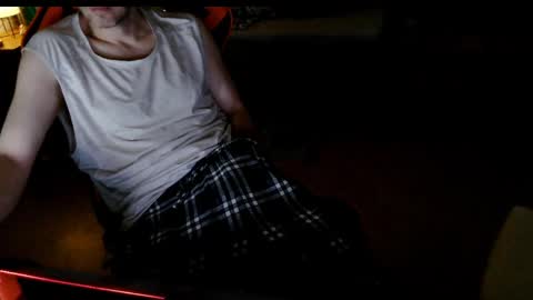 Snapshot of swe9090 chatting on January 29, 2025, 3:33 am swe9090 online show from January 29, 2025, 3:33 am