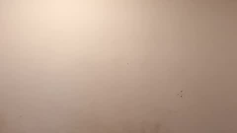 Snapshot of sweaterboy666 chatting on March 10, 2026, 11:37 am sweaterboy666 online show from March 10, 2026, 11:37 am