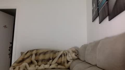 ALBA online show from November 14, 2025, 5:44 pm