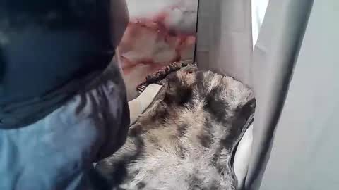 RUBY online show from November 19, 2025, 2:55 am