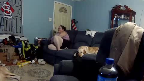 DJ  M 489 Babygirl  F 37 online show from February 9, 2025, 3:32 am