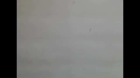 Snapshot of sweetnectarx chatting on November 8, 2025, 4:40 pm sweetnectarx online show from November 8, 2025, 4:40 pm