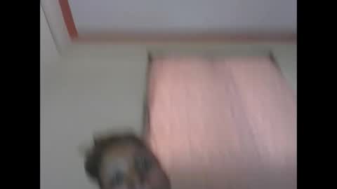 Snapshot of sweetpetite254 chatting on April 11, 2026, 7:45 am ESTHER online show from April 11, 2026, 7:45 am