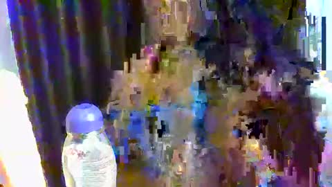 Snapshot of sweetpunani89 chatting on December 17, 2025, 10:21 am sweet online show from December 17, 2025, 10:21 am