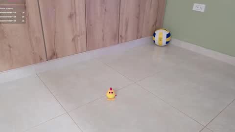    online show from February 11, 2025, 10:39 pm